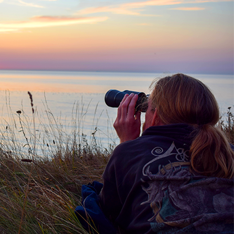 Digiscoping for Beginners How to Record 4K Wildlife Videos on a Budget