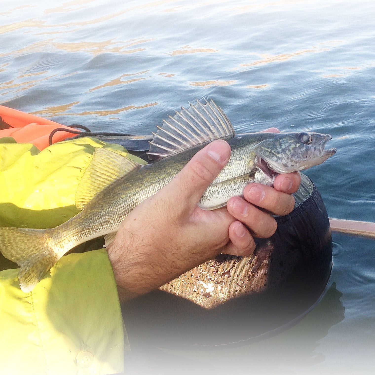 Fishing Accessories
