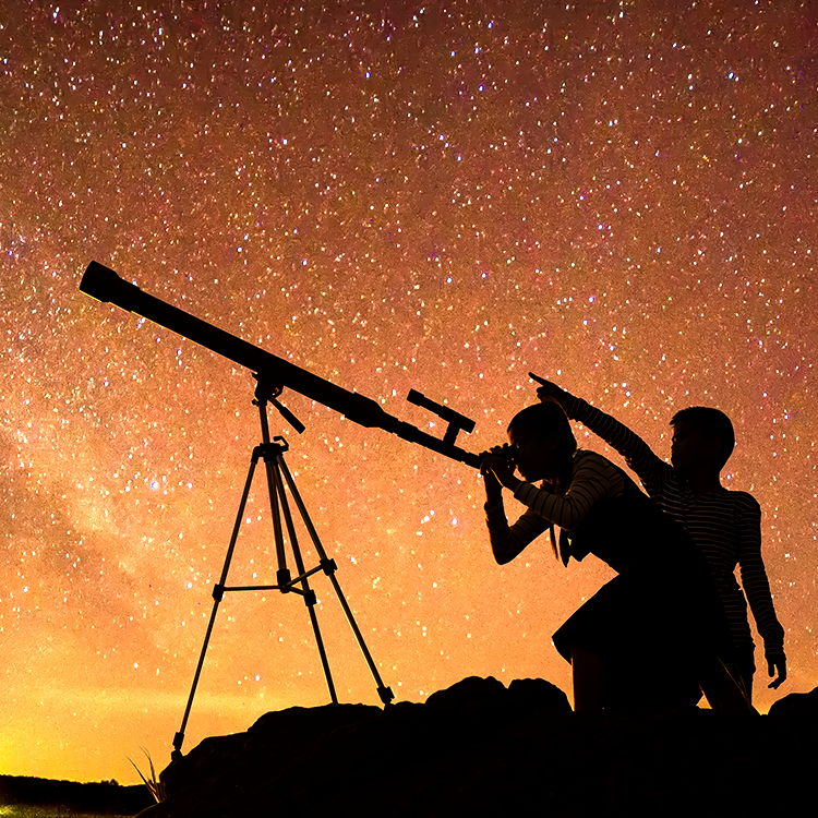 SnakeLook GEN 2 - Universal Scope Phone Adapter